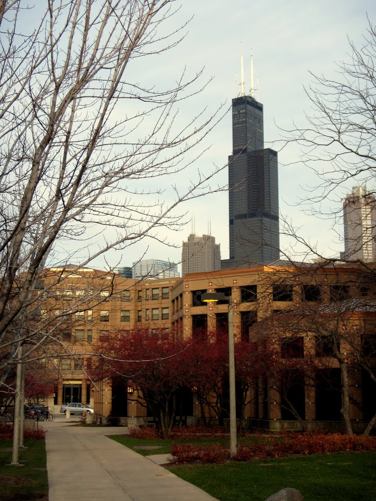 UIC Common South Residence Hall by Bohao Zhao