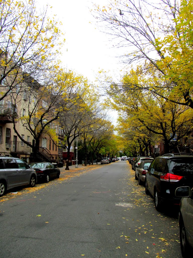 Ross Street. Brooklyn, New York City. by MementoMori