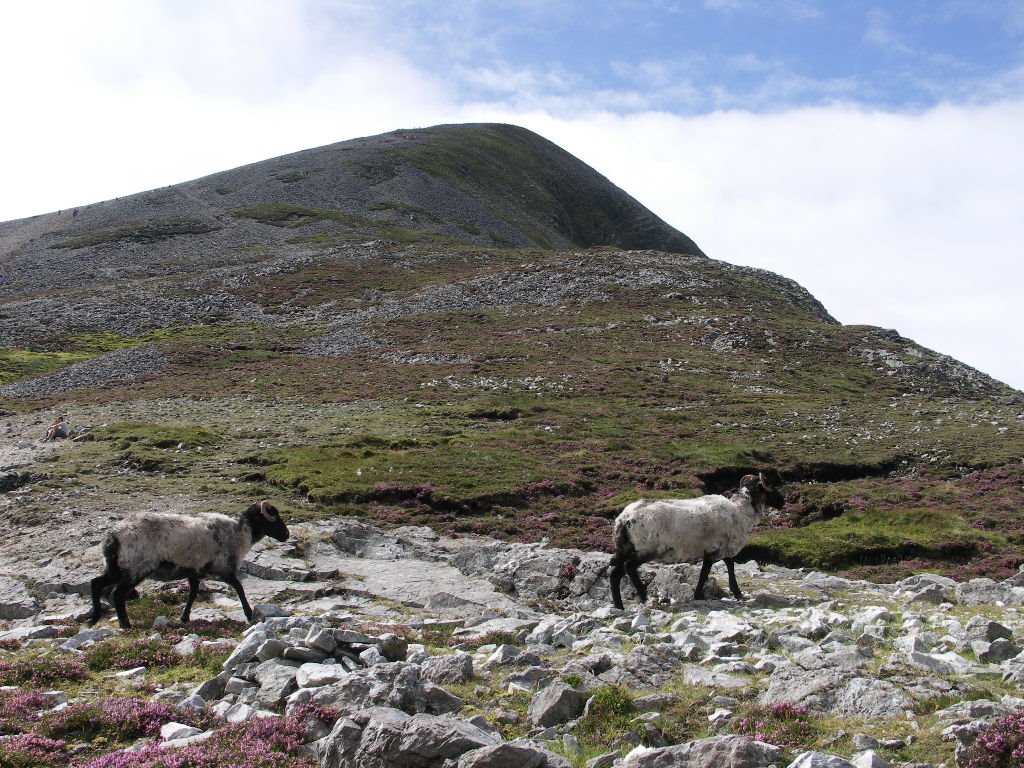 Way out to mountain Croagh Patrick by Mitmount