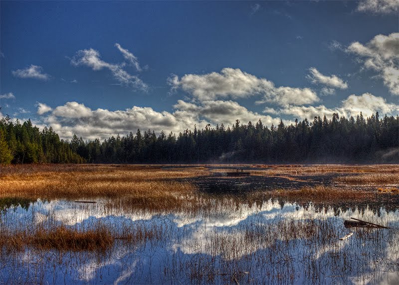 Hamilton Marsh by Randy Hall