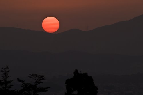 Zoshicho, Nara, Nara Prefecture 630-8211, Japan by Max Editor