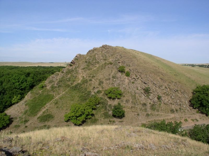 Lugansk natural preserve. Луганский природный заповедник (Провальская степь). Луганський природний заповідник (Провальський степ). by Mykola Baranets