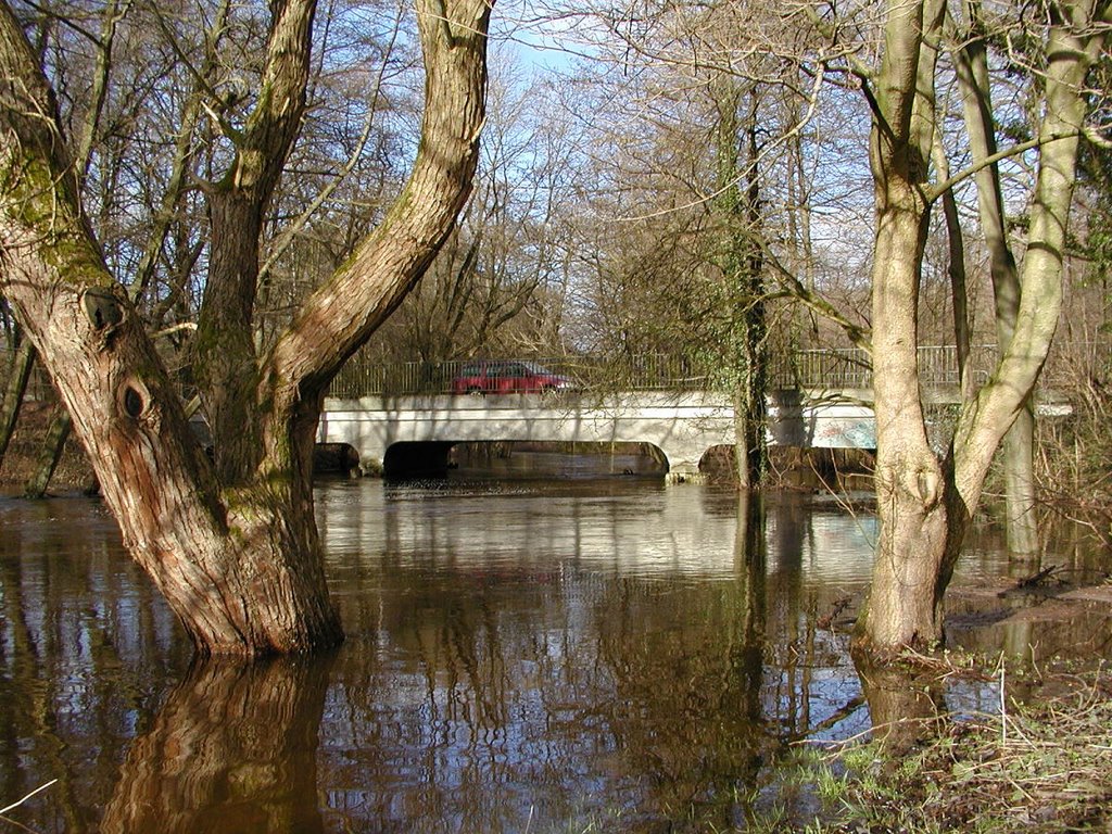 Alte Trillupbrücke bei Hochwasser by Hans Wolters