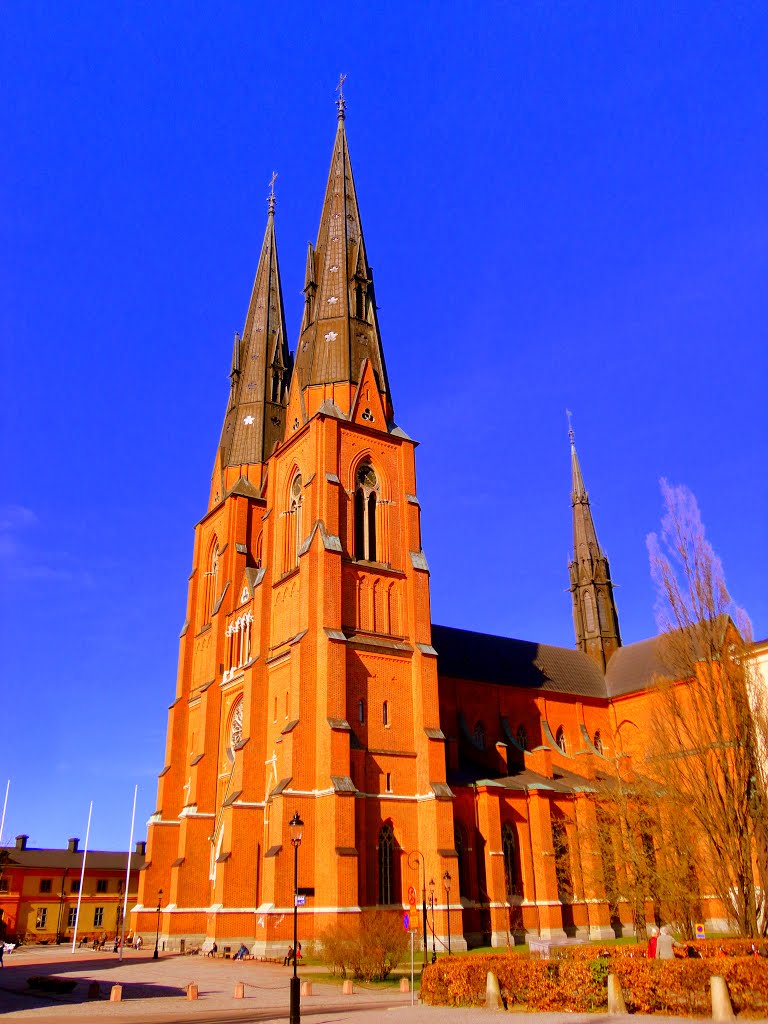 Domkyrkan, Uppsala. by Kleber De Piza Ringheim