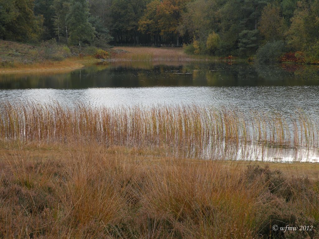 Punthorst, Zwarte Dennen, old pond by © wfmw