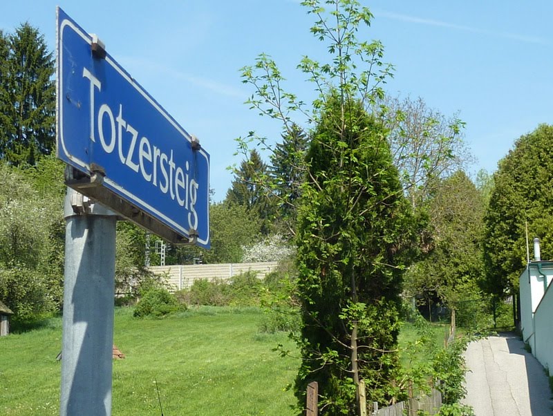 Auf dem Totzersteig gehen wir ein Weichen längs der Westbahnstrecke stadtauswärts. by fuzzy_von_steyr