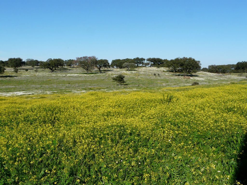 Vista Campestre by Ana Travasso