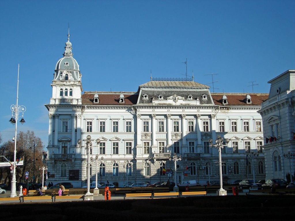 Palatul Cenad - Cenad Palace by Romeo Salajan