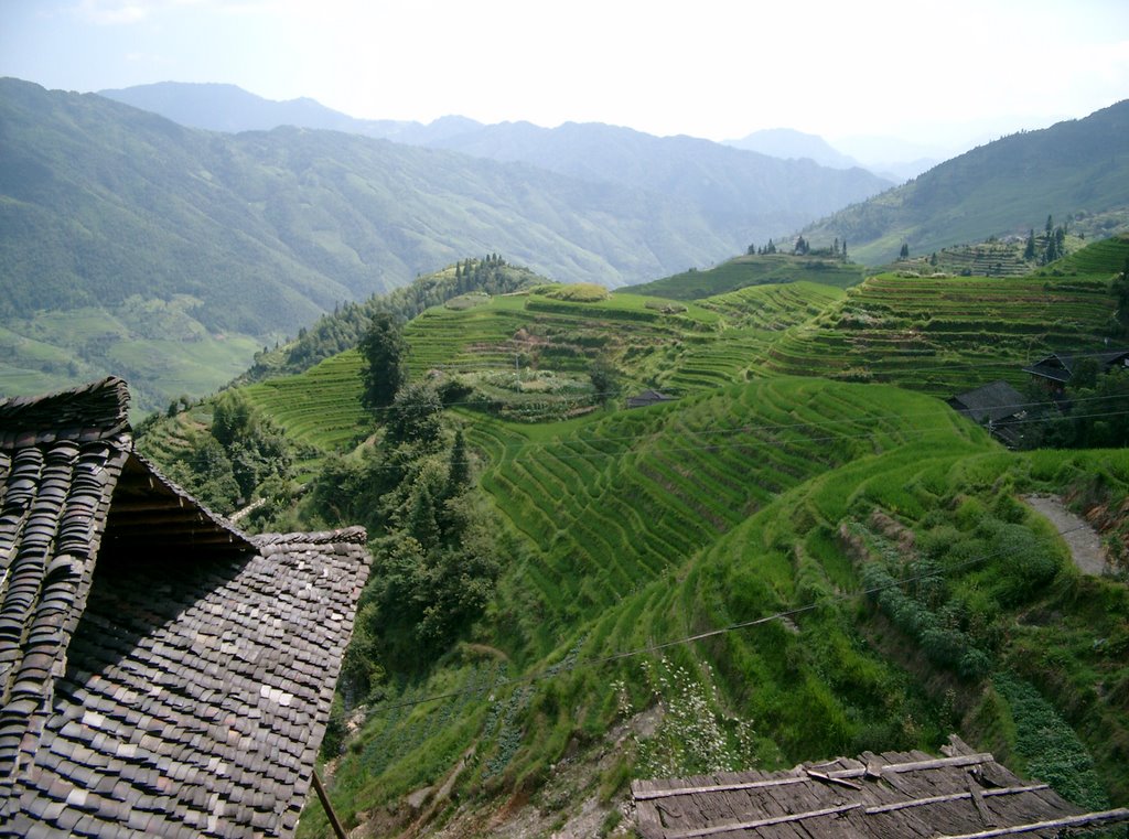 Ping'an village 平安 by week-end market