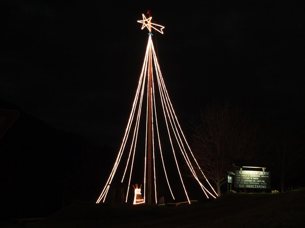 "Albero" della Libertà- Baresi - by ANDREA GERVASONI