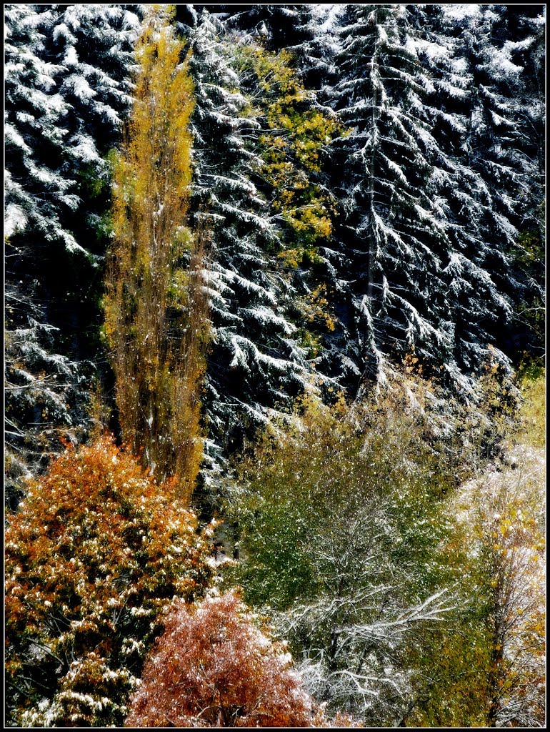 Schnee 28.10.2012 by Schelklinger