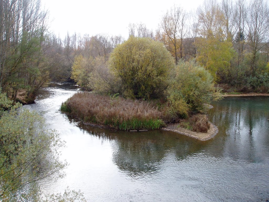 Tera, Duero, Otoño by ROnrubia