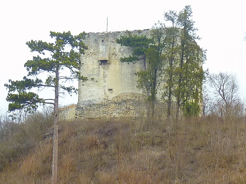 Ruine (Hollenburg) Bertholdstein http://www.burgen-austria.com/Archiv.asp?Artikel=Hollenburg/Donau%20-%20Bertholdstein by fuzzy_von_steyr