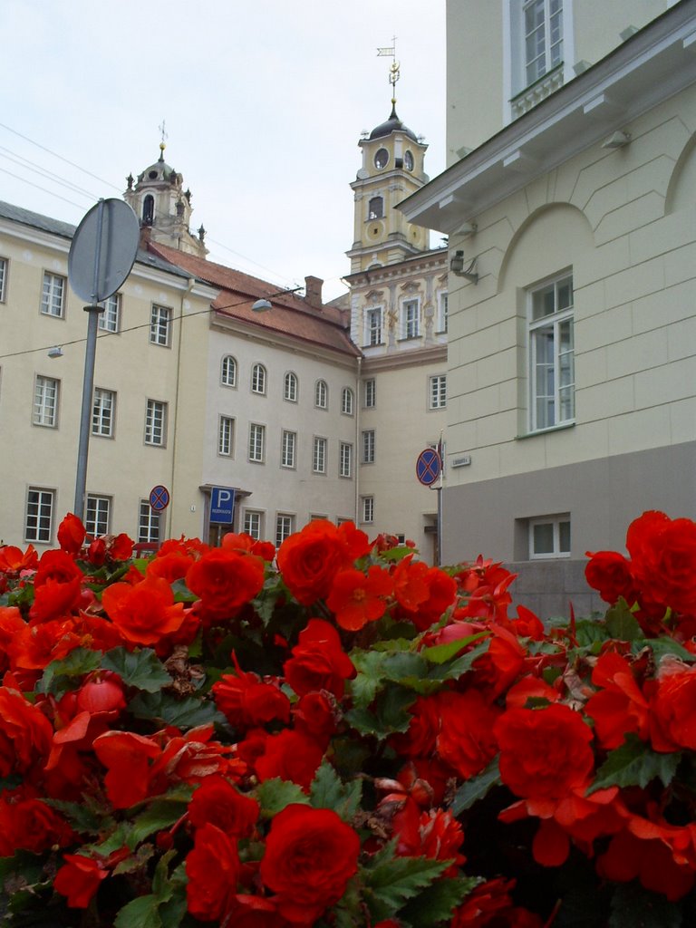 Vilnius, Lithuania by Indra Dišteina