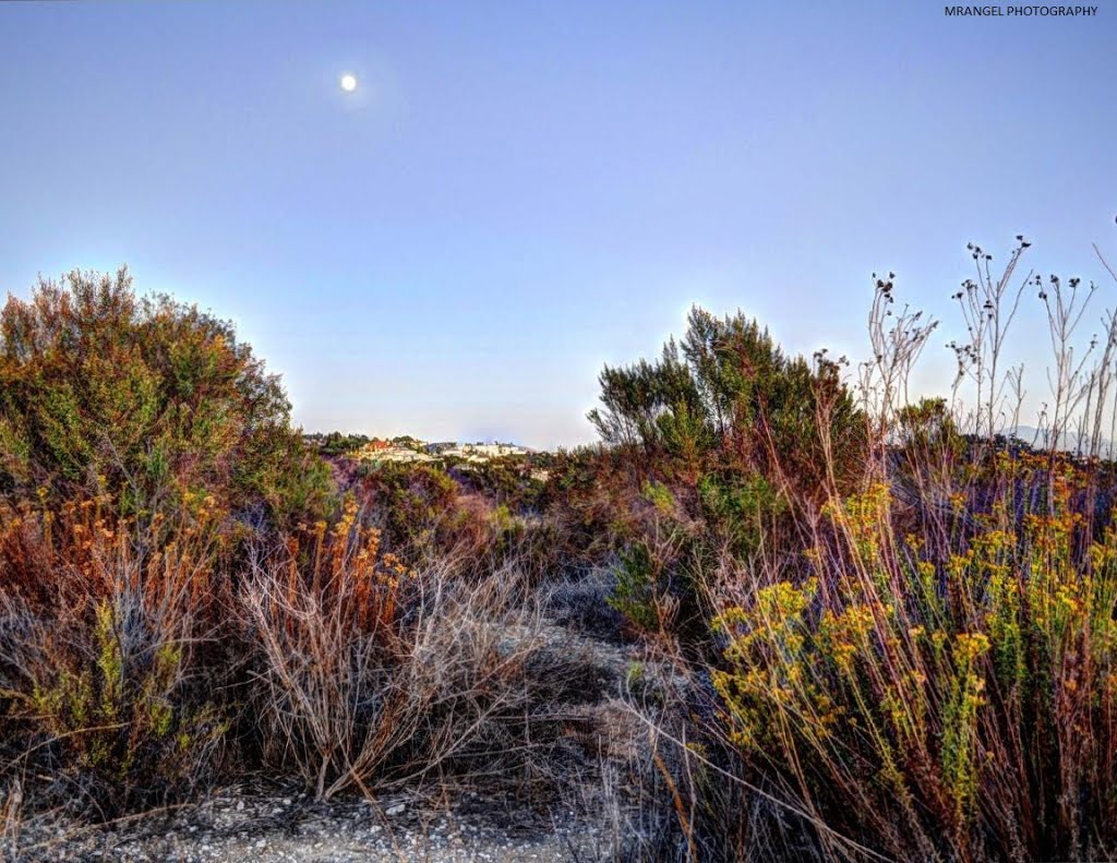 Friendly Hills Moon by RangelPhotography