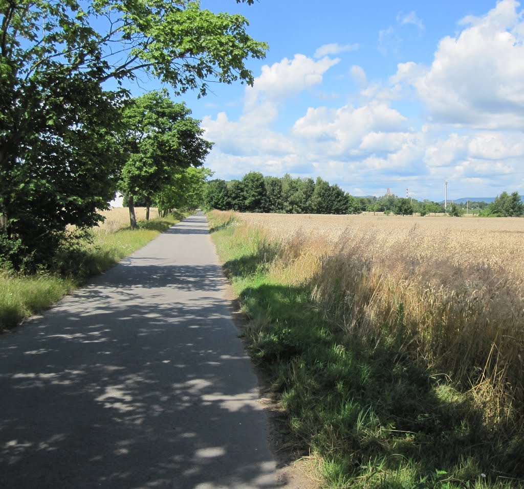 Radweg von Hanhofen zum Holiday Park by HaraldSogl