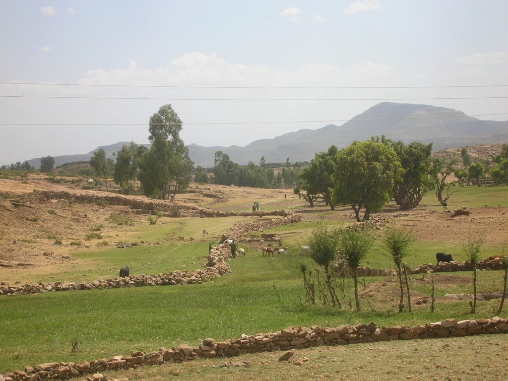 Green fields and a path leading to a village - Mar 2007 by MaxFarrar