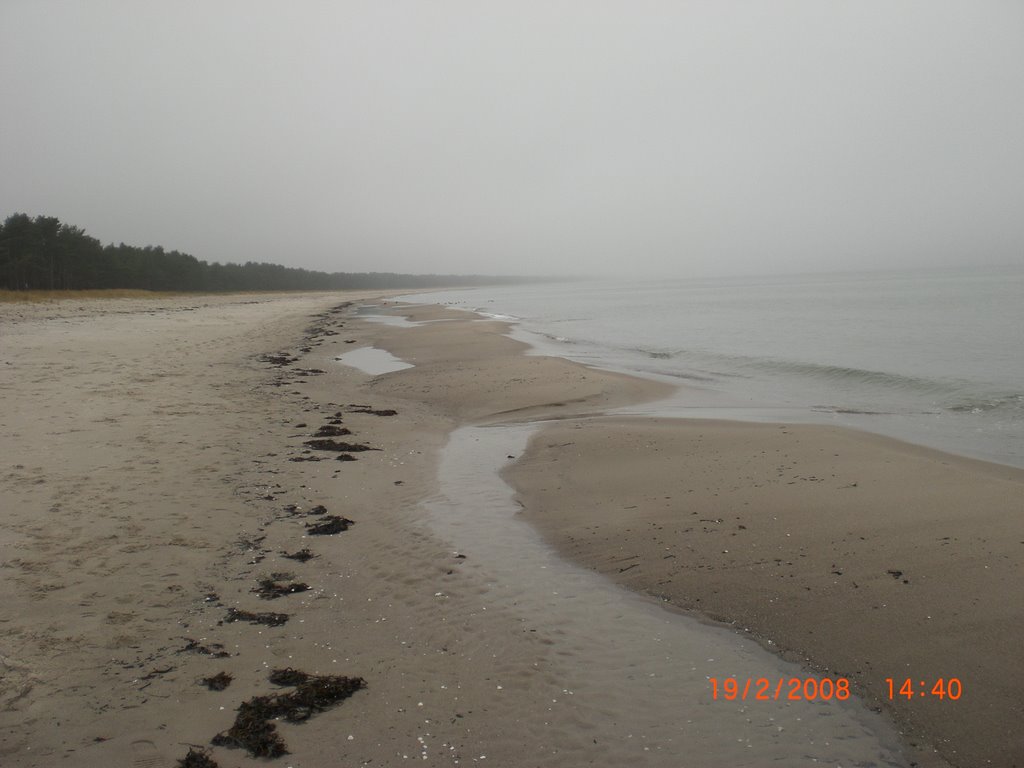 Strand bei Glowe by  Mikkel