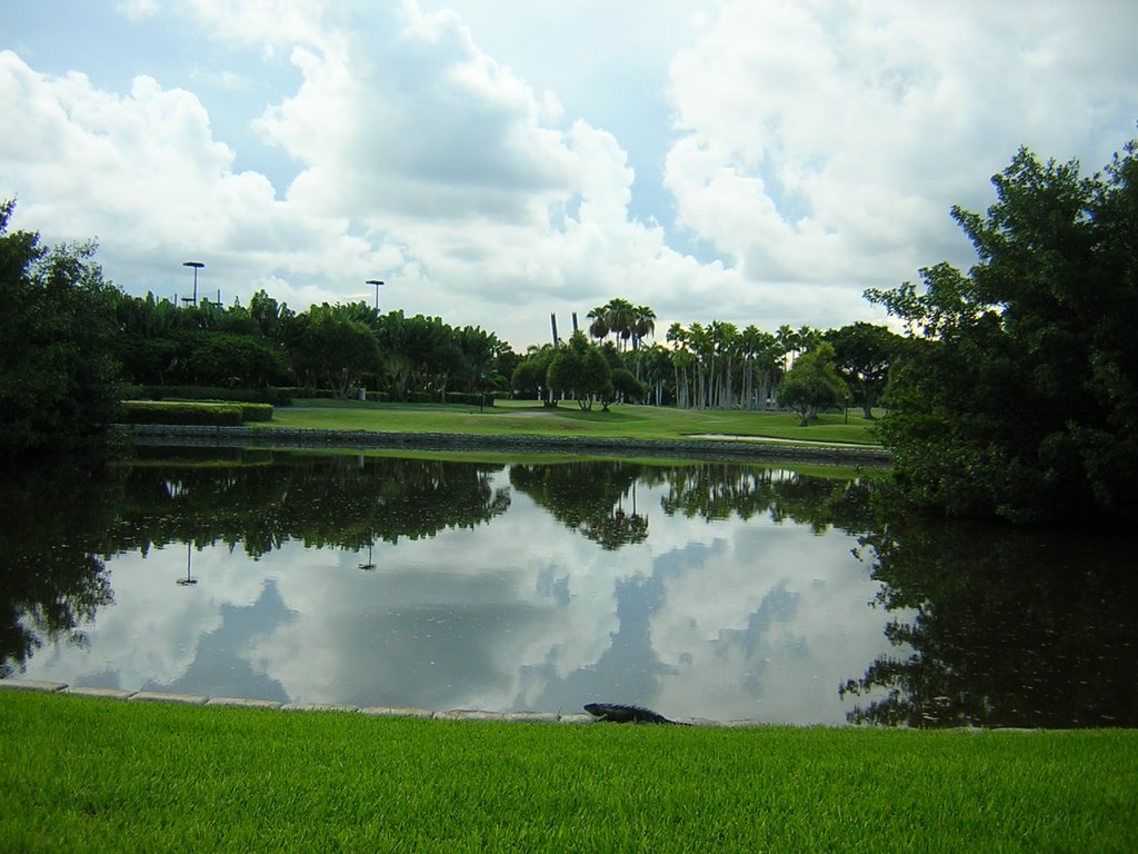 FISHER ISLAND, MIAMI, FLORIDA, UNITED STATES by Javier Zapata