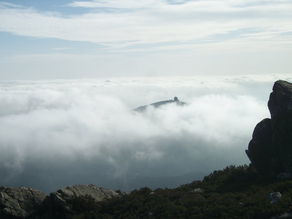 Vigilante en un mar de nubes. by Brijales -NO Views-