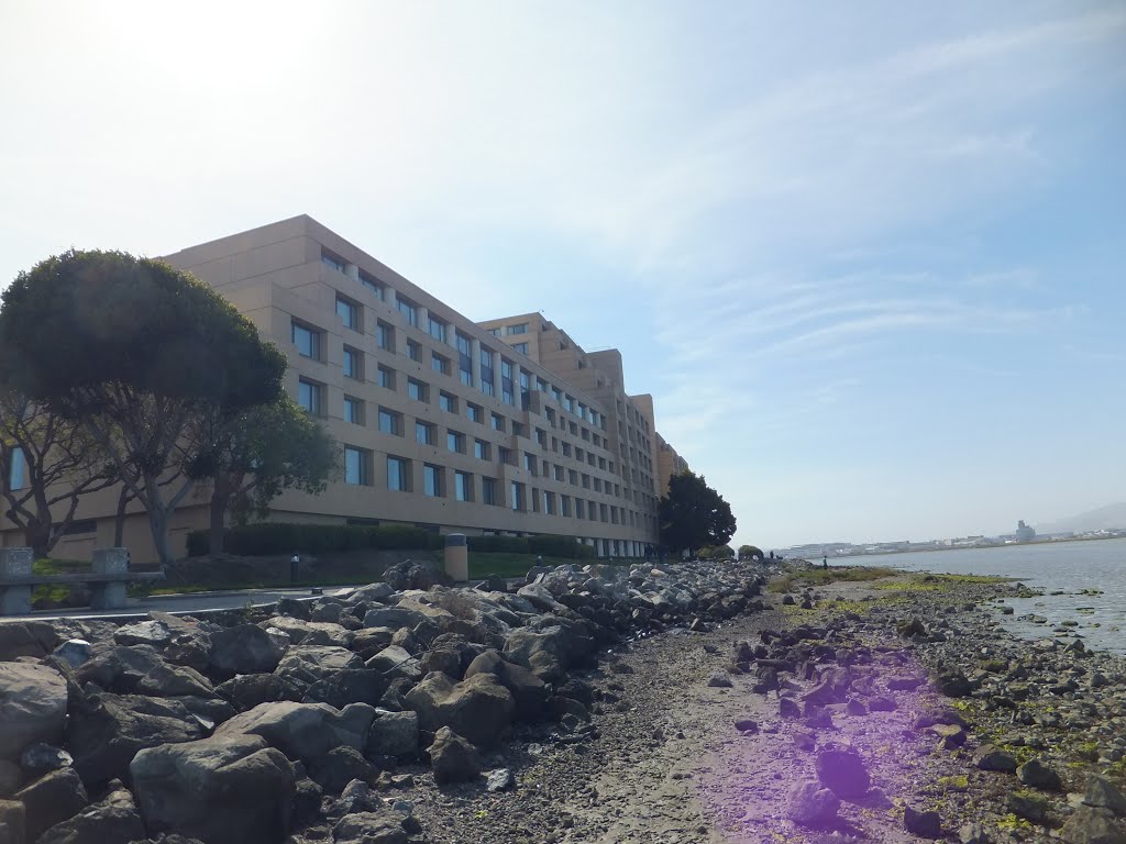 Bay side of SFO Marriott by edclegg