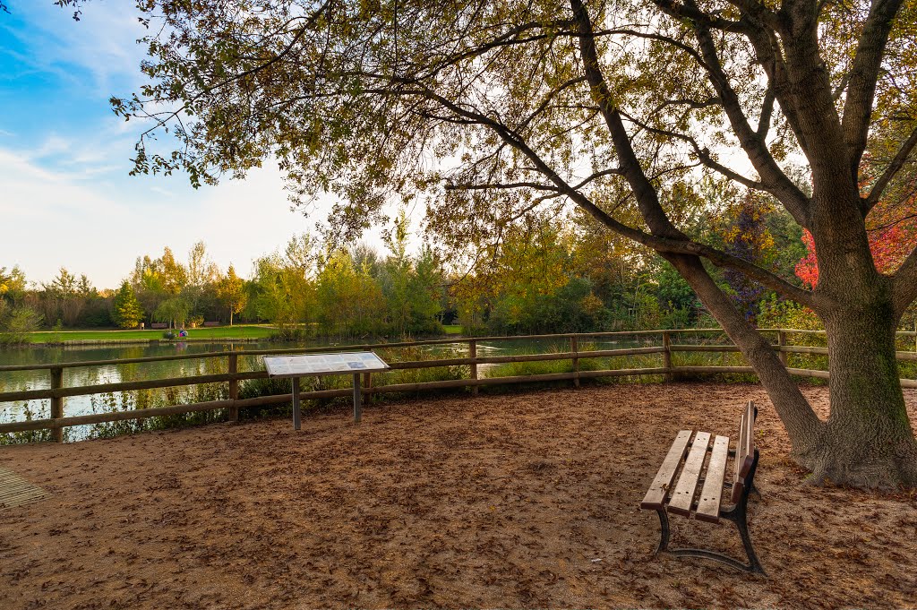 Arboretum - St. Martin de Crau by Wediam