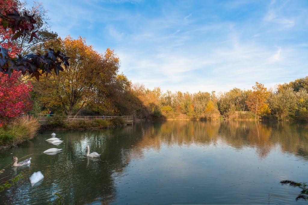 Arboretum - St. Martin de Crau by Wediam