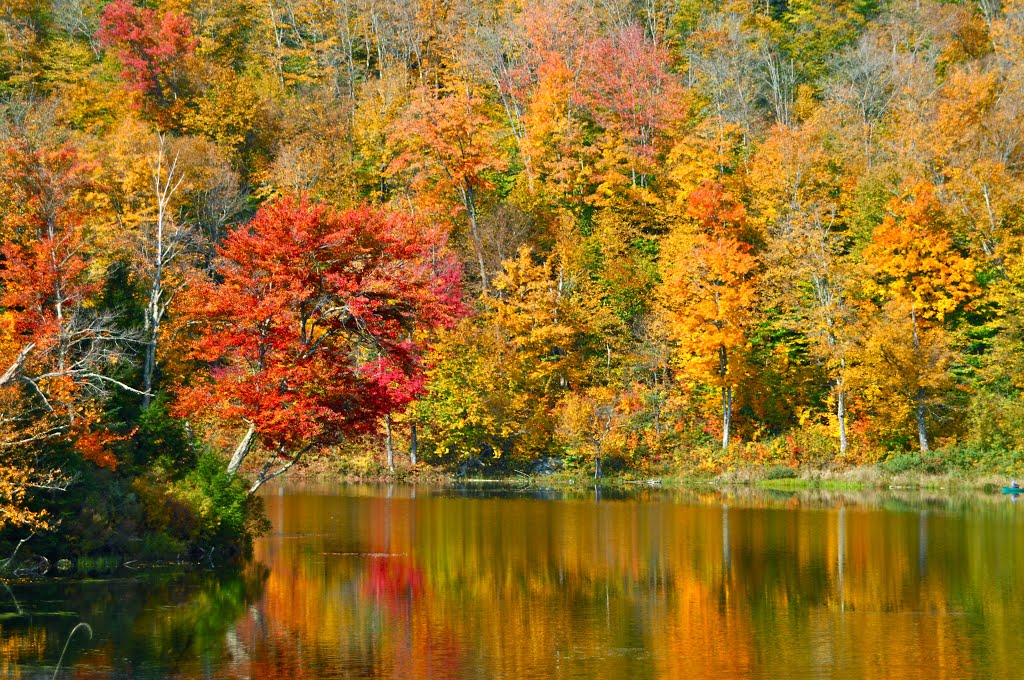 Belvidere Pond Reflections by hennings50