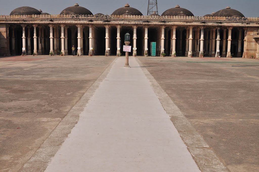 Sarkhej Roza. Ahmadabad, India by Sergey Brandys