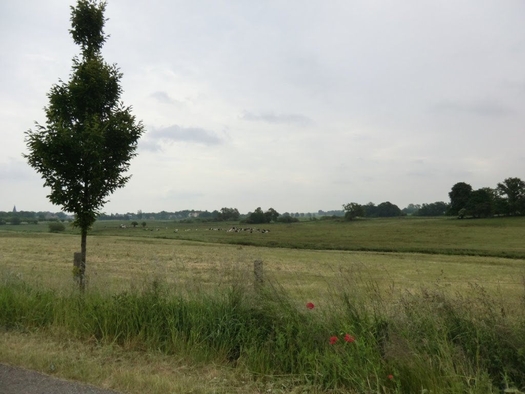 Unmerklich steigt der Radweg neben der Straße nach Bollewick an. Das schaffst du schon! Noch zwei Kilometer. by ReinhardKlenke