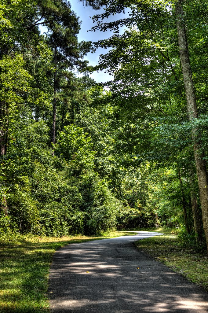 Abbott's Creek Trail, Raleigh, NC by J Bridgham