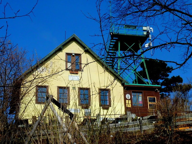 Bald erreichen wir die Rudolf Proksch Hütte (541m) mit der Klesheimwarte. by fuzzy_von_steyr