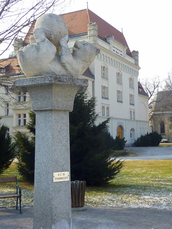 Unverkennbar sind wir in 'Dorf des Bären' gelandet; hinten das Kaiser Franz Joseph Theater. by fuzzy_von_steyr