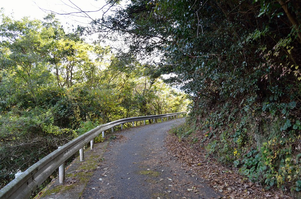 【平戸街道】旧県道 by oaaioai