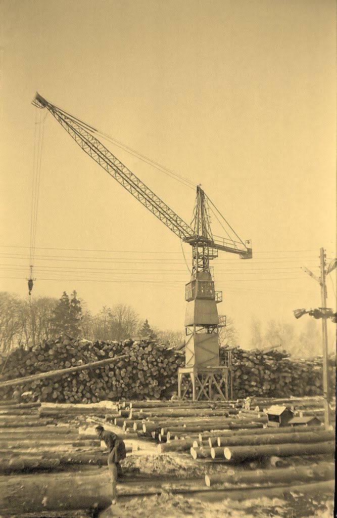 Lezajsk Tartak skład drzewa (już nie istnieje) 1980r.(KR) by Kwrom1