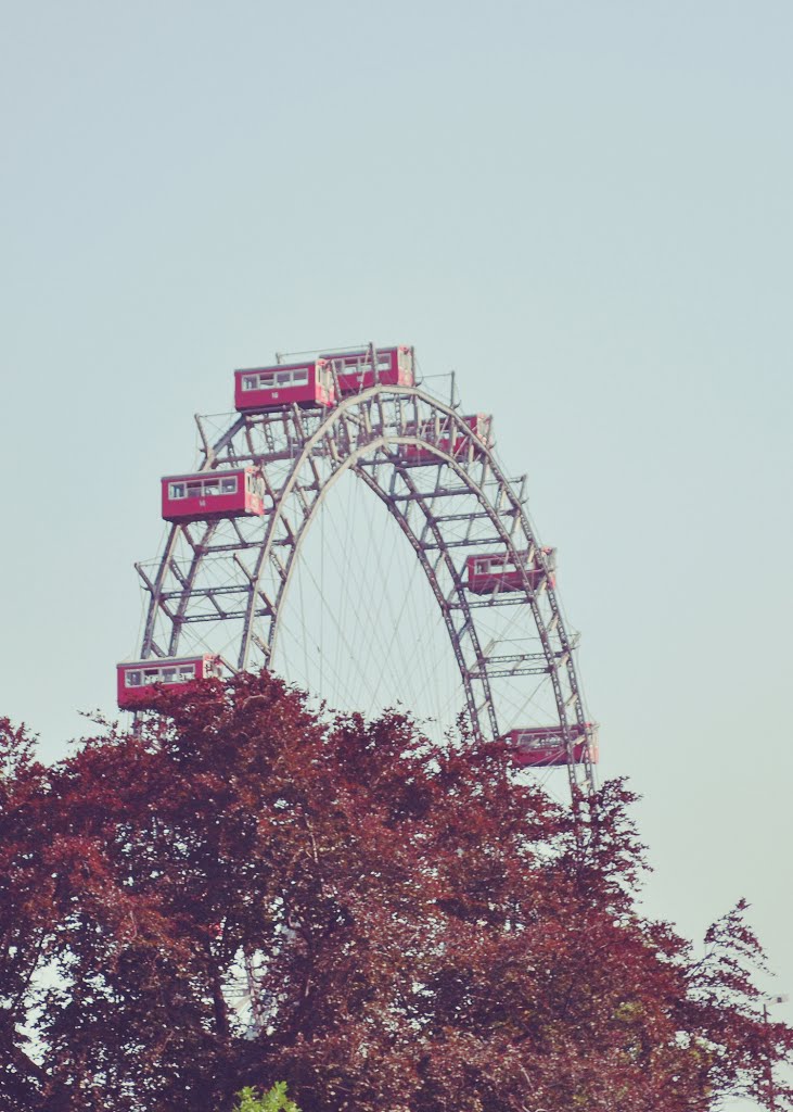 Wiener Riesenrad, Prater Amusement Park, Vienna, Austria by Ivana P.