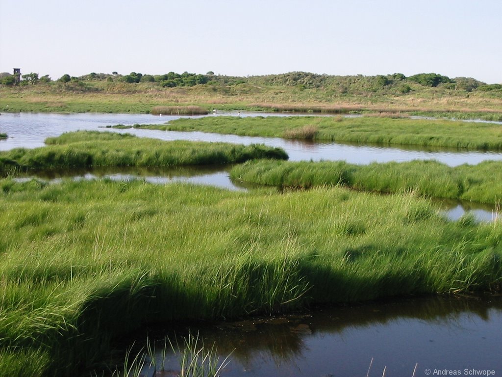 Baltrum, kleine Seenplatte am Ostende by Andreas Schwope