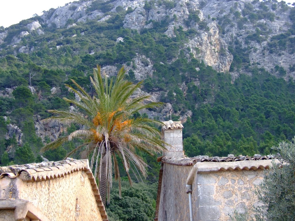 Ermita Valldemossina by A. López