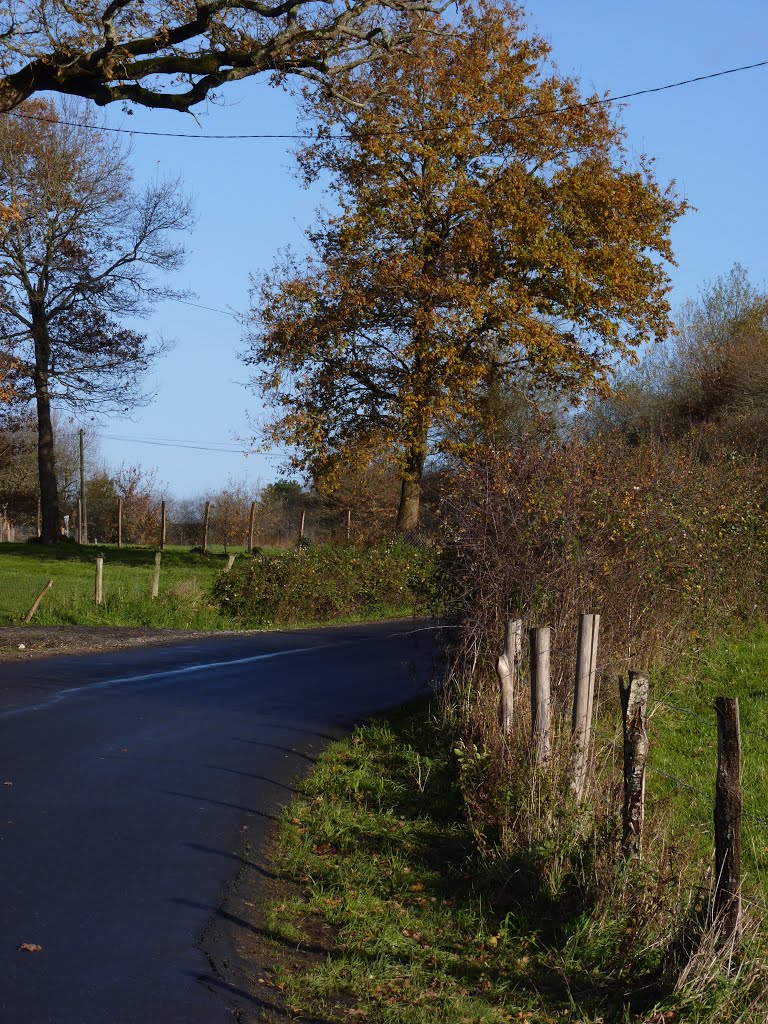 Notre Dame des Landes..100 kms de haies.... by laurentSnogoogleviews!