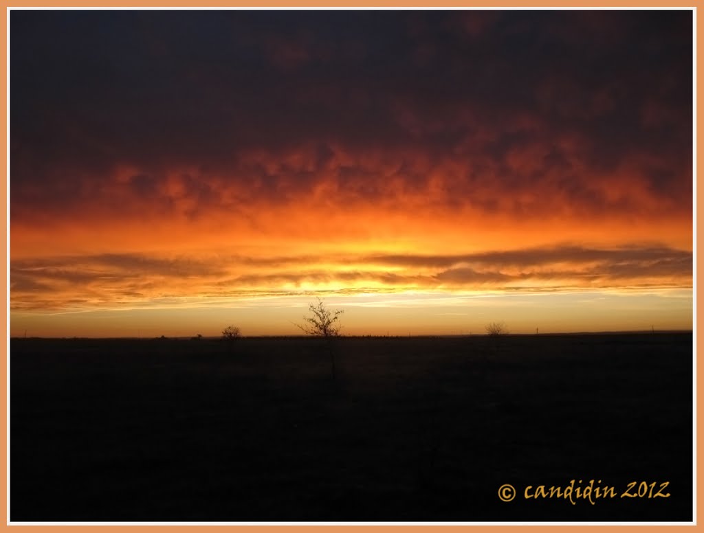 Amaneceres manchegos by candidin.