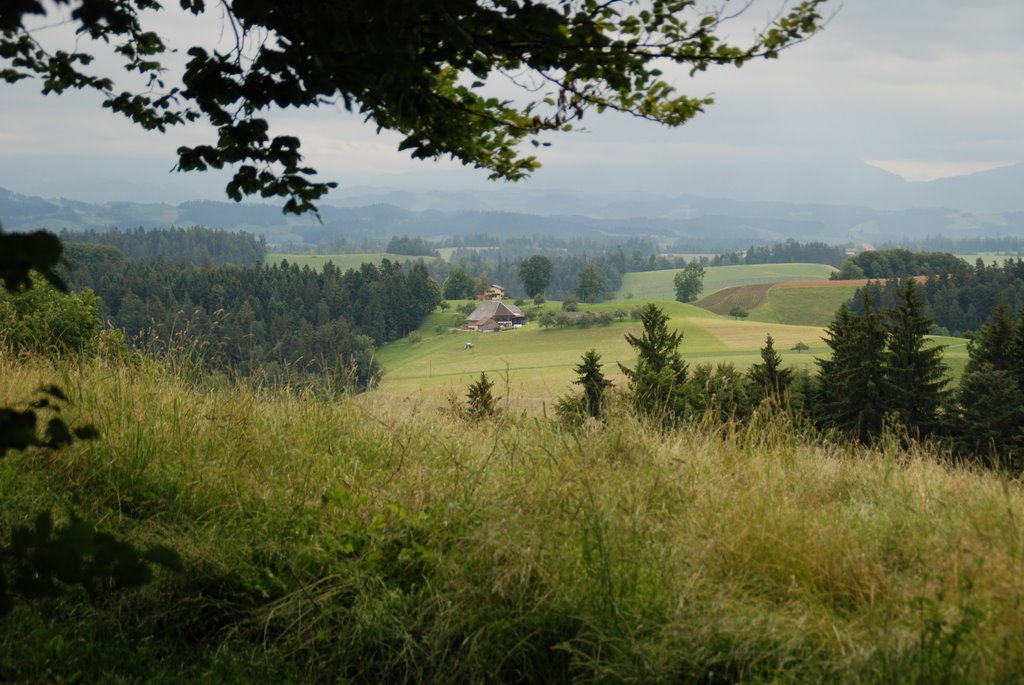 Emmental by Heinz Kempa