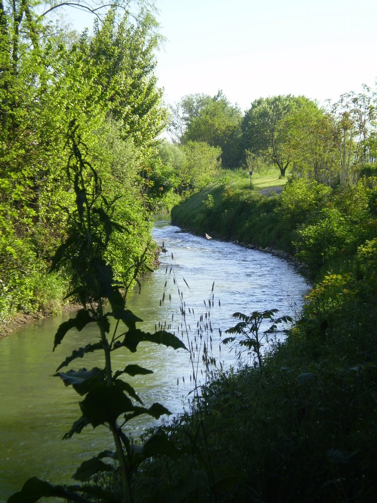 Canale Navile by michele martelli