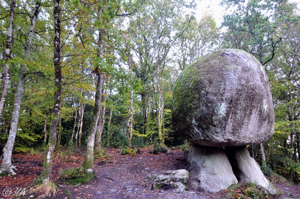 Huelgoat : Le champignon. by Y. A, Villyssois.