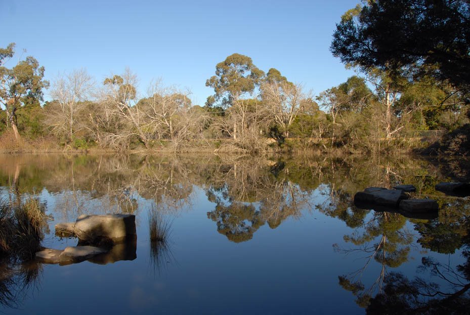 Lake reflections by Maree Toogood