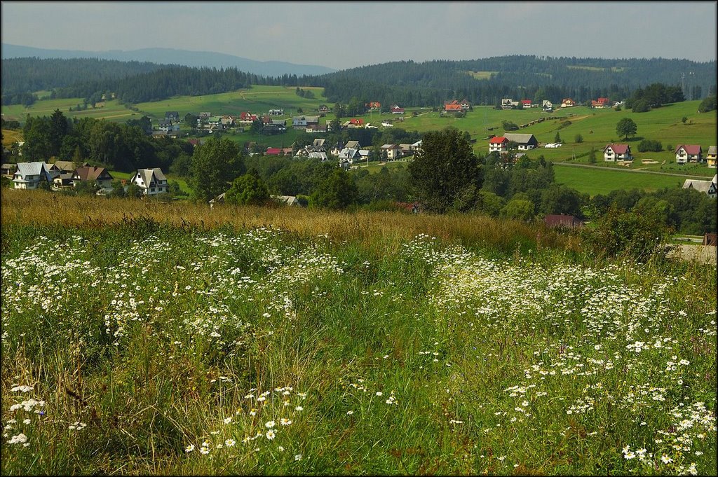 Widok na Podsarnie by Renifer