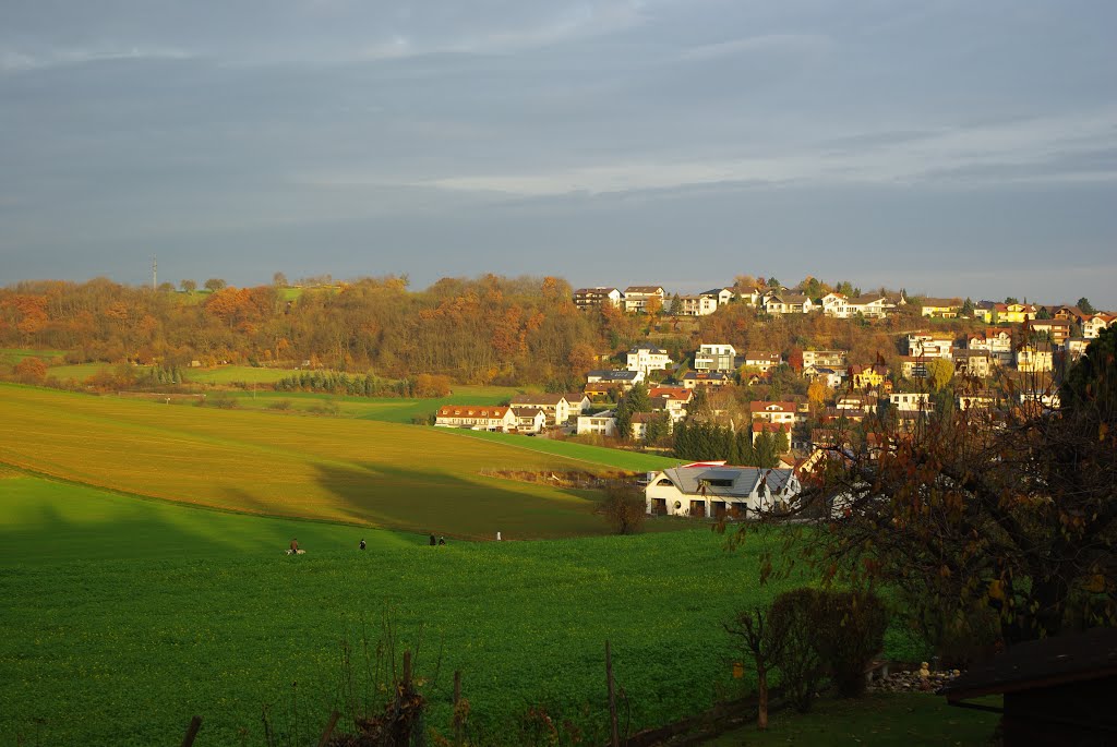 Blick auf Sinsheim-Rohrbach by М. Невірковець (N.Newirkowez)