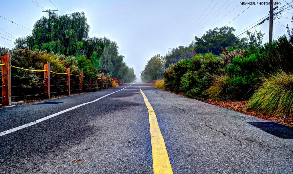 Bike Path by RangelPhotography