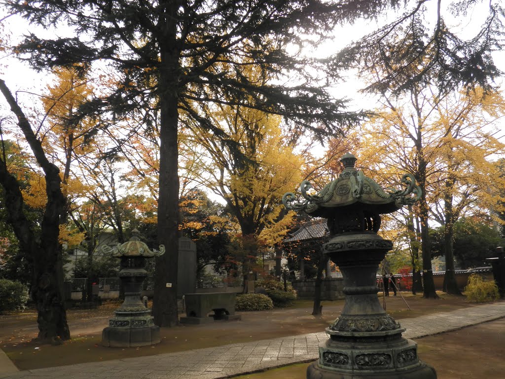 寛永寺　境内 Kaneiji temple by nkmroioikkkz