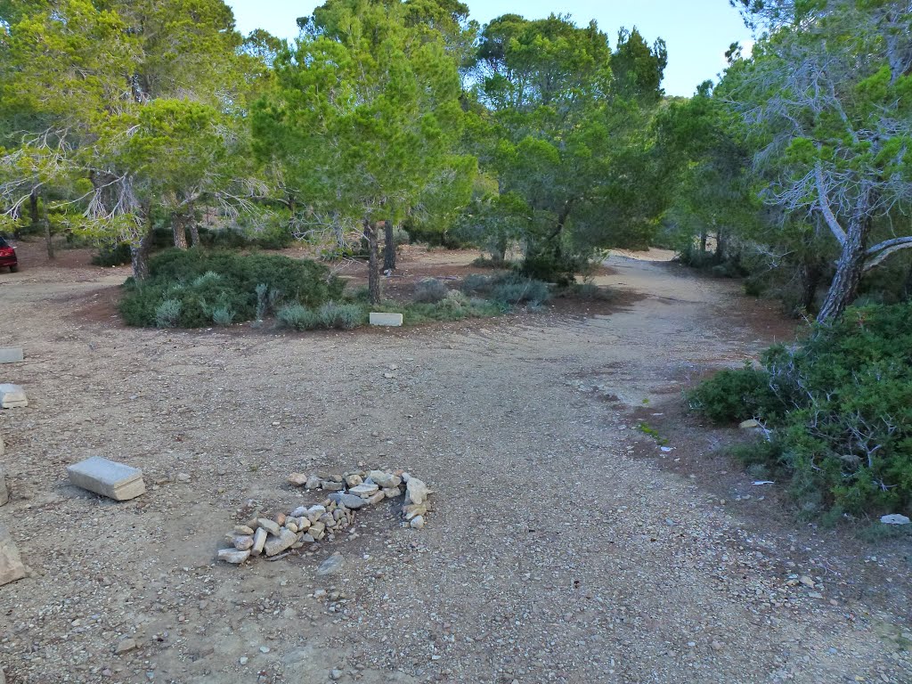 Camino de la Torre de Cala en Basset by txema-122