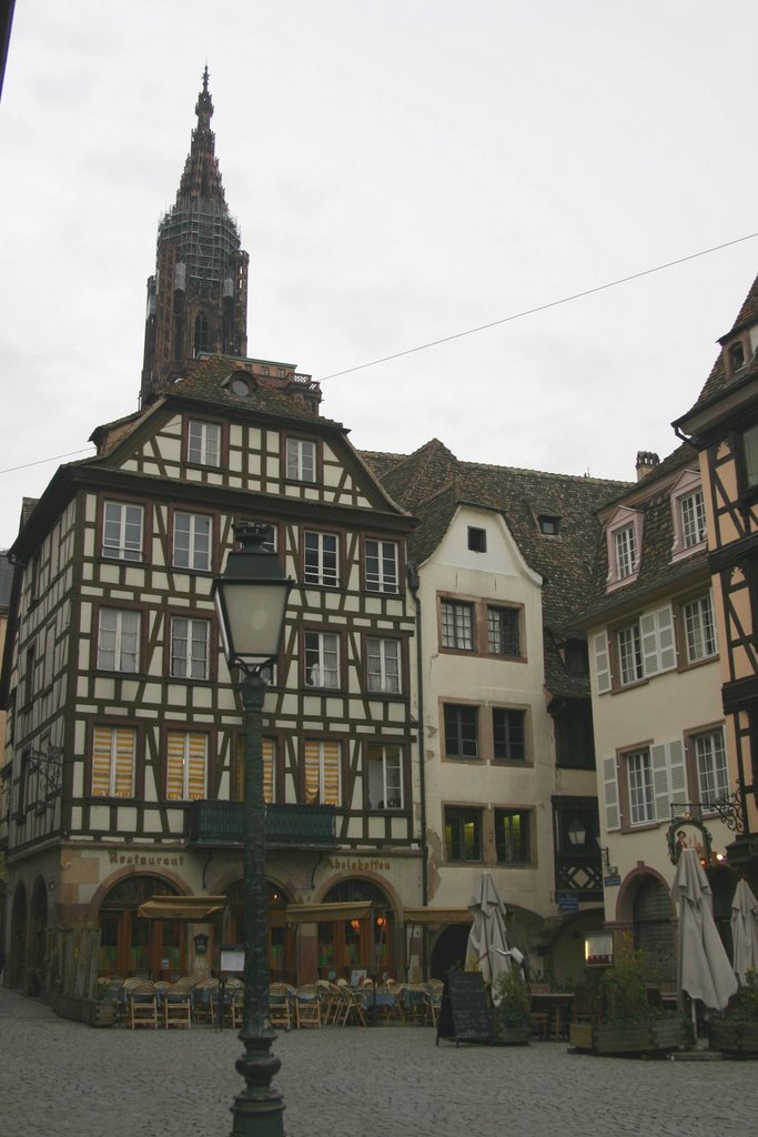 Strasbourg by Elvira Skelin